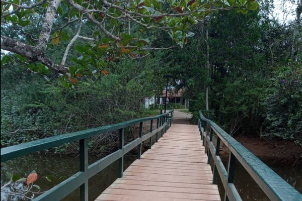 Manguezal da Praia da Lagoinha — Ponte dos Caranguejos